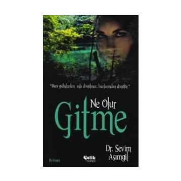 NE OLUR GITME - SEVIM ASIMGIL