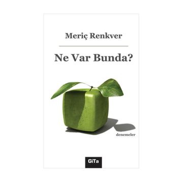 Ne Var Bunda? - Meriç Renkver