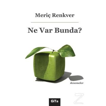 Ne Var Bunda? - Meriç Renkver