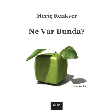 Ne Var Bunda? - Meriç Renkver