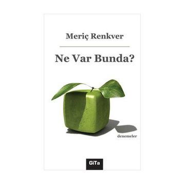 Ne Var Bunda? - Meriç Renkver