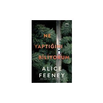 Ne Yaptığını Biliyorum - Alice Feeney