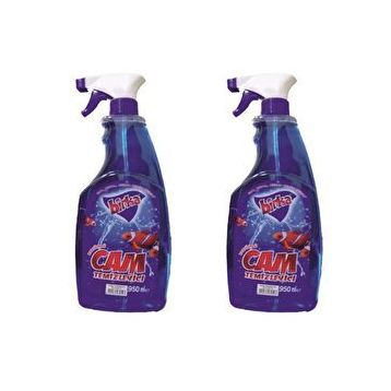 Necco 950 ml Püskürtmeli Parfümlü Cam Temizleyici (2 adet)