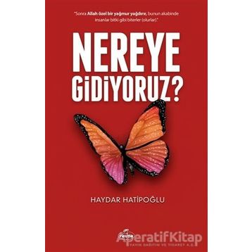 Nereye Gidiyoruz? - Haydar Hatipoğlu