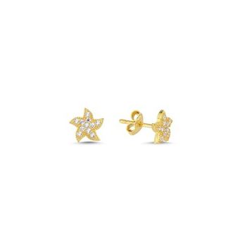 Nereze 925 Ayar Minik Gold Deniz Yıldızı Kadın Gümüş Küpe