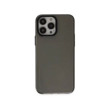 Newface iPhone 13 Pro Anka PC Sert Metal Kapak Şeffaf Cep Telefonu Kılıfı