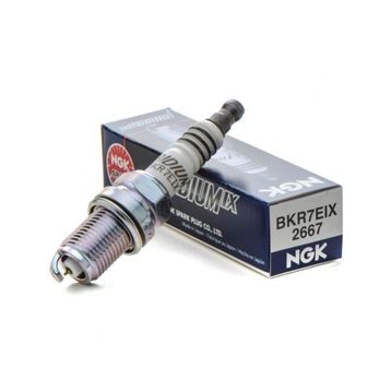 NGK BKR7EIX Buji