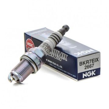 NGK BKR7EIX Buji