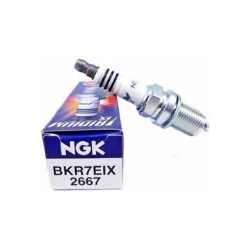 NGK BKR7EIX Buji