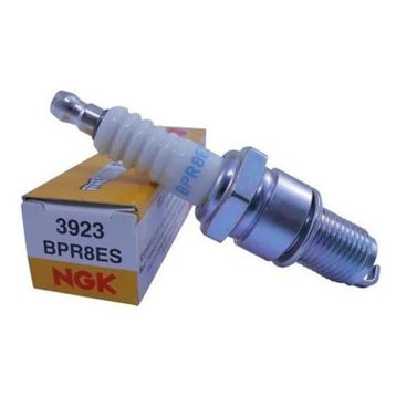 NGK BPR8ES Buji