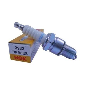 NGK BPR8ES Buji