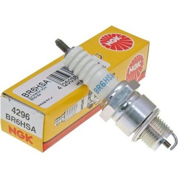NGK BR6HSA Buji
