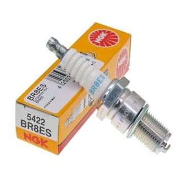 NGK BR8ES Buji