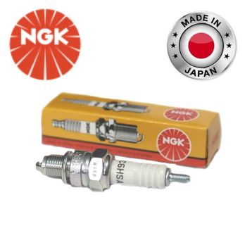 NGK C6HSA Buji