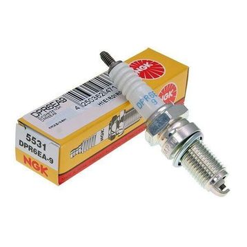NGK DPR6EA9 Buji
