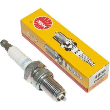 NGK DR8EB Buji