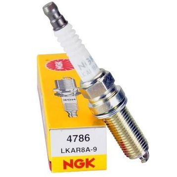 NGK LKAR8A9 Buji