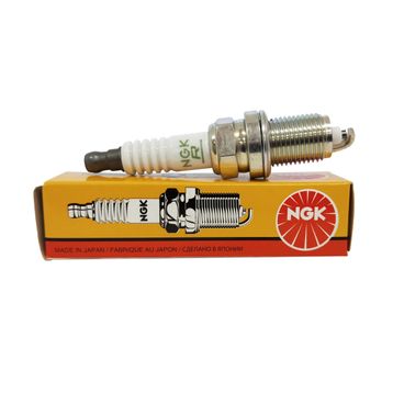 NGK LKR6D10E Buji