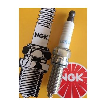 NGK LKR7E Buji