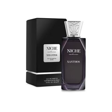Niche Exclusive Xanthos EDP 100 ml Erkek Parfüm