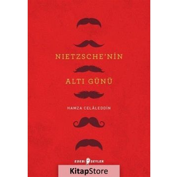 Nietzsche'nin Altı Günü - Hamza Celaleddin
