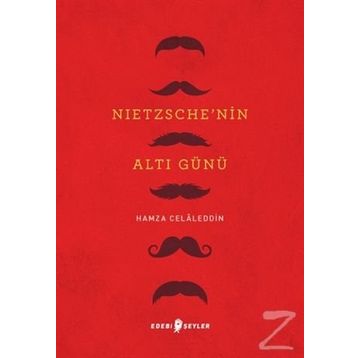 Nietzsche'nin Altı Günü - Hamza Celaleddin