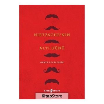 Nietzsche'nin Altı Günü - Hamza Celaleddin