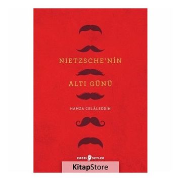 Nietzsche'nin Altı Günü - Hamza Celaleddin