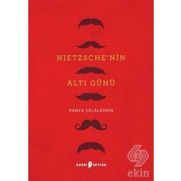 Nietzsche'nin Altı Günü - Hamza Celaleddin
