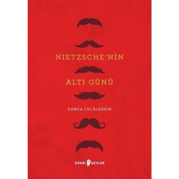 Nietzsche'nin Altı Günü - Hamza Celaleddin