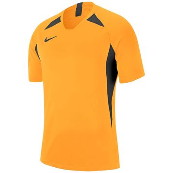 Nike Aj0998-739 Erkek Futbol Forması
