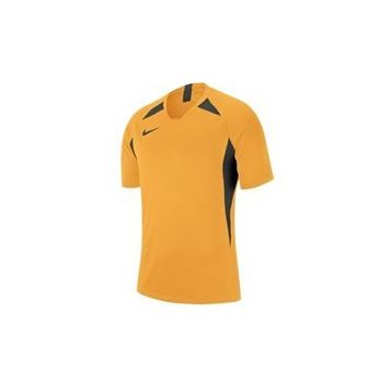 Nike Aj0998-739 Erkek Futbol Forması