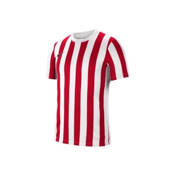 Nike CW3813 Striped Division Lv Jersey Ss Erkek Futbol Antrenman Spor Forması