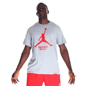Nike FD1460-063 Chicago Bulls NBA Erkek Gri Basketbol T-Shirt