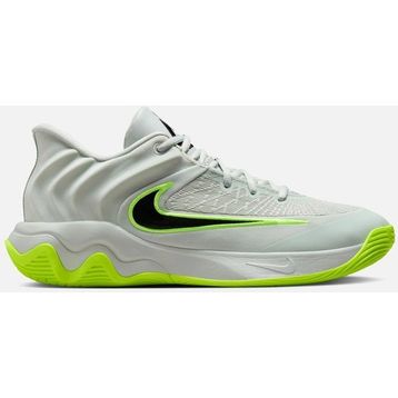 Nike FQ3680-007 Gri Giannis Immortality 4 Erkek Basketbol Ayakkabısı