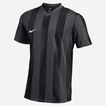 Nike FZ9337-010 Dri-Fit Stripe Jersey SS Siyah Erkek T-Shirt