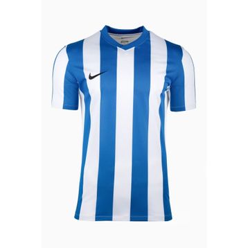 Nike FZ9337-101 Mavi Dri-FIT Stripe Jersey SS Erkek T-Shirt