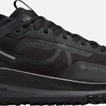 Nike HM9728-002 Pegasus Trail 4 GTX V2 Arazi Tipi Erkek Spor Ayakkabı