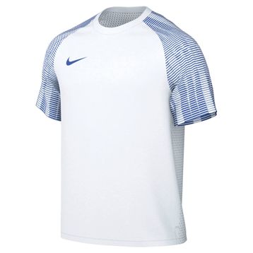 Nike M Nk Df Academy Jsy Ss Erkek Forması