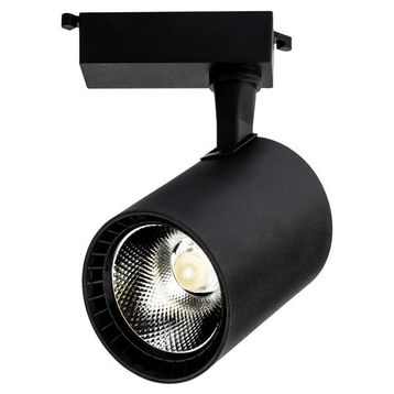 Noas YL29 3102 30W 3200K Gün Işığı Siyah Paris Led Ray Spot