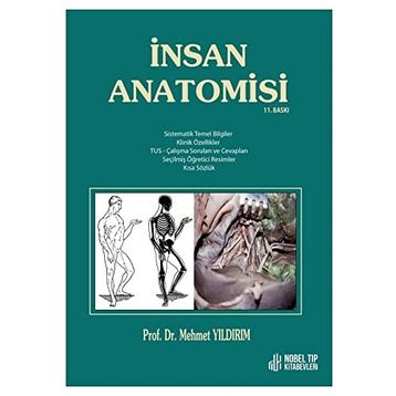Nobel Tıp Kitabevleri İnsan Anatomisi 11. Baskı