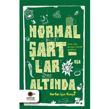 Normal Şartlar Altında - Burçin Acar Şeşen