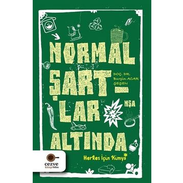 Normal Şartlar Altında - Burçin Acar Şeşen