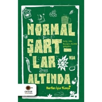Normal Şartlar Altında - Burçin Acar Şeşen