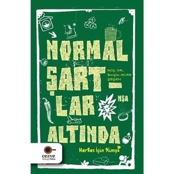 Normal Şartlar Altında - Burçin Acar Şeşen