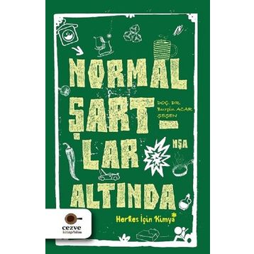 Normal Şartlar Altında - Burçin Acar Şeşen
