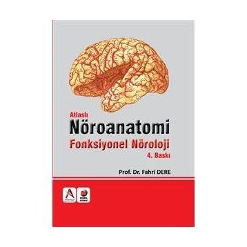 Nöroanatomi - Kolektif