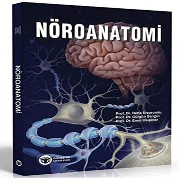Nöroanatomi - Kolektif