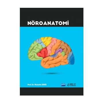 Nöroanatomi - Kolektif
