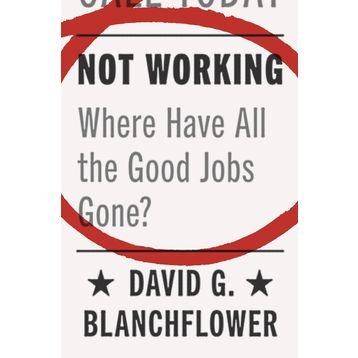 Not Working - Lisa Owens